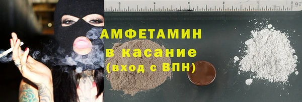 стаф Аркадак