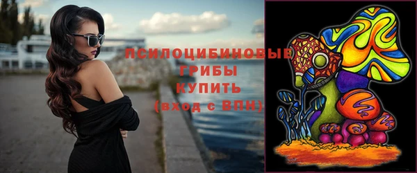 PSILOCYBIN Ростов