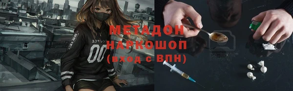 стаф Аркадак