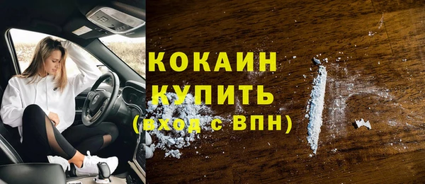 стаф Аркадак