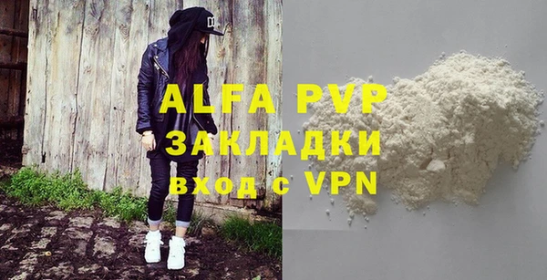 стаф Аркадак