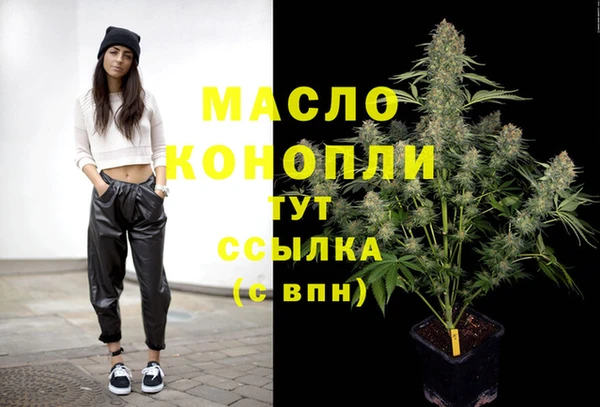 стаф Аркадак