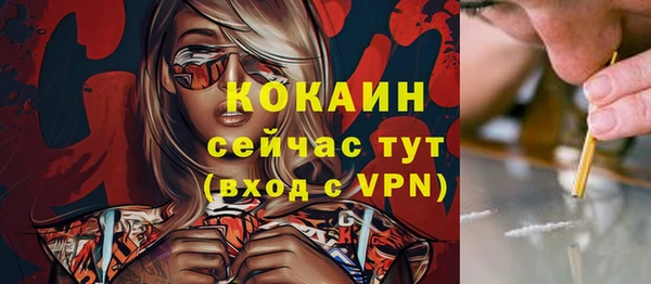 стаф Аркадак