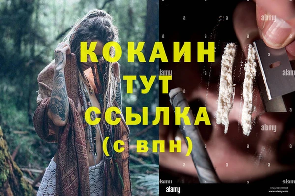 стаф Аркадак