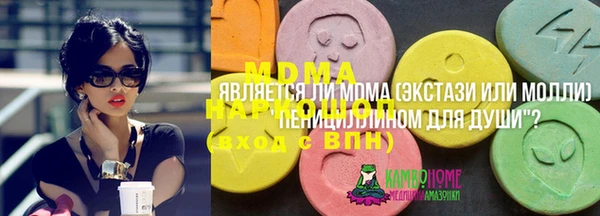 стаф Аркадак