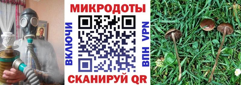 Псилоцибиновые грибы MAGIC MUSHROOMS  Аша 
